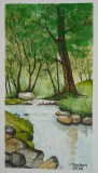 Rivière en sous-bois